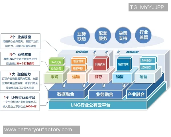 LNG反击策略深度分析:如何在竞争中逆风翻盘 LNG反击策略深度分析:如何在竞争中逆风翻盘