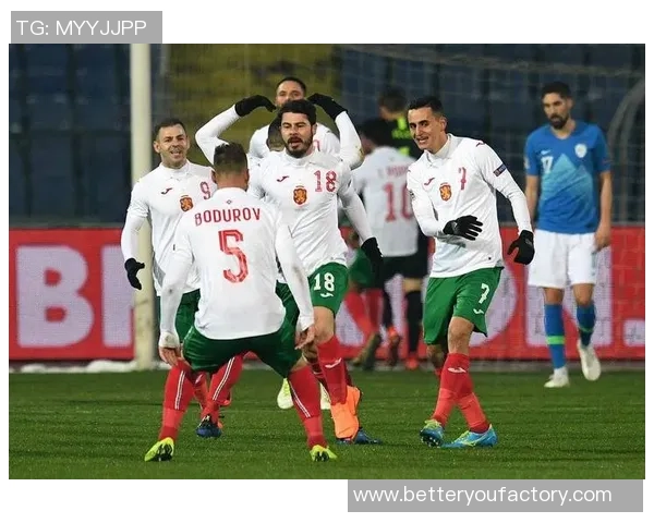 北爱尔兰与爱沙尼亚足球对决分析及比赛前瞻